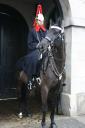 Horse Guards court. Ohhh sooooo stunning.. The horse that is!