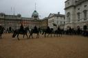 Horse and guards doing their thing